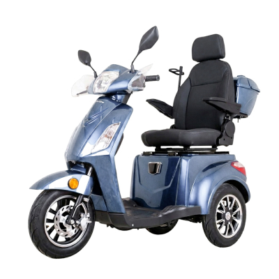 Skútr pro seniory inSPORTline Zorica Deluxe foto