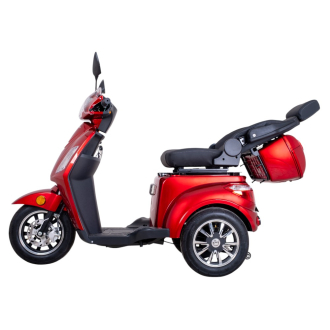 Skútr pro seniory inSPORTline Zorica Deluxe foto